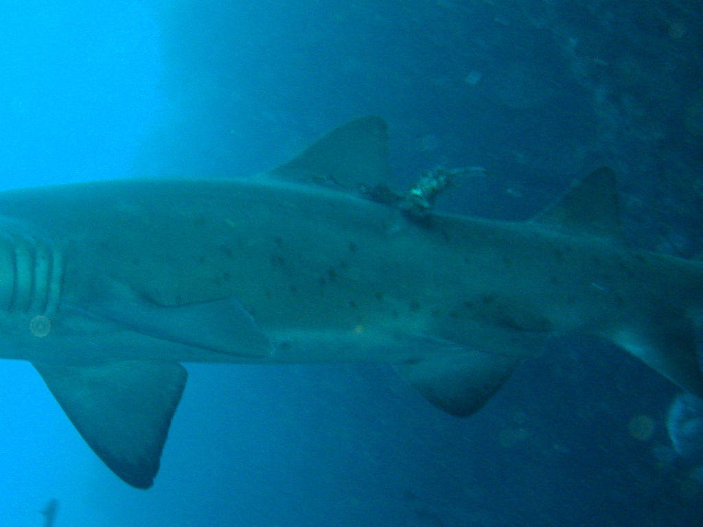 f813d3b3-5452-458a-a80a-e16ab1542cdf