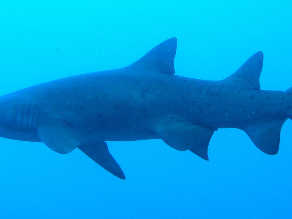 2df38bbd-adb2-4d9e-9599-41ce21508da2