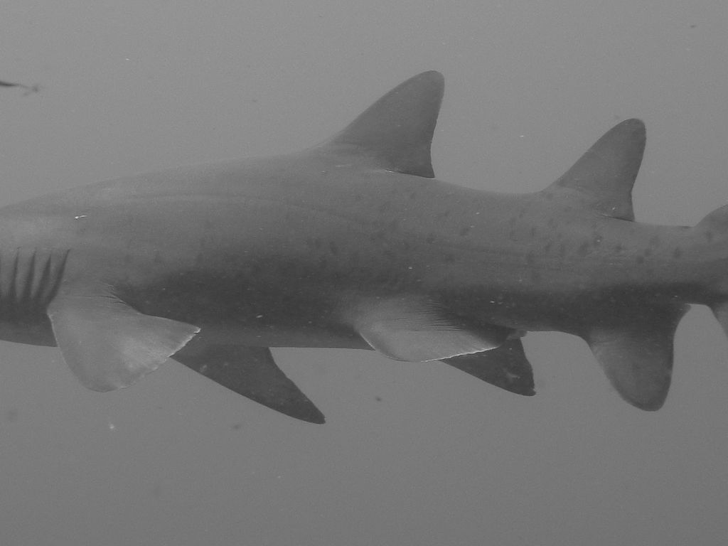 05234dd4-68f8-4ebf-ad39-e6859cf183d9