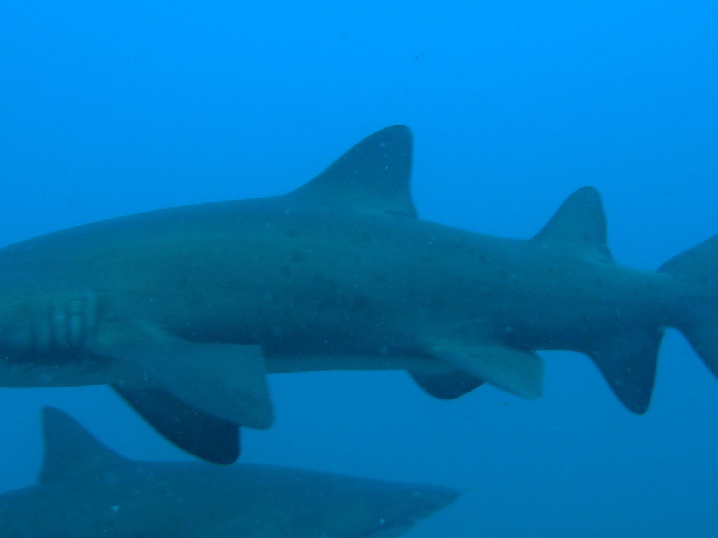 7c40f09e-2baf-425e-a104-12695c0eff13