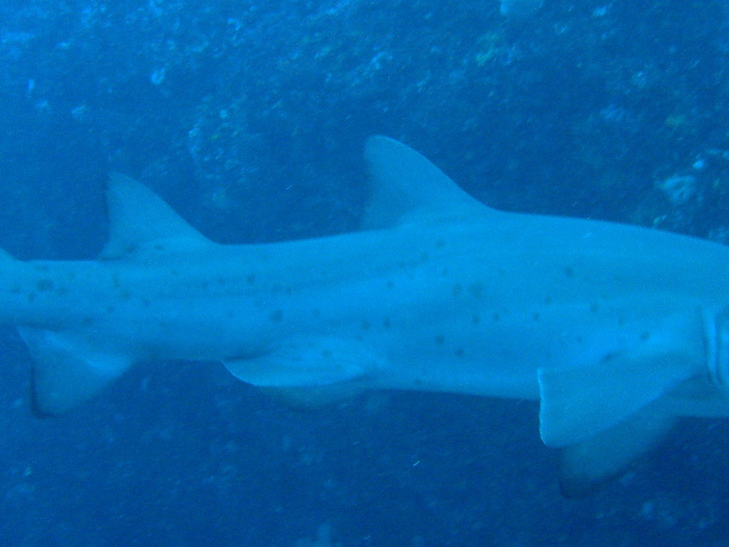 97b1146a-bcf8-4adc-a37d-4bfa91b97b73