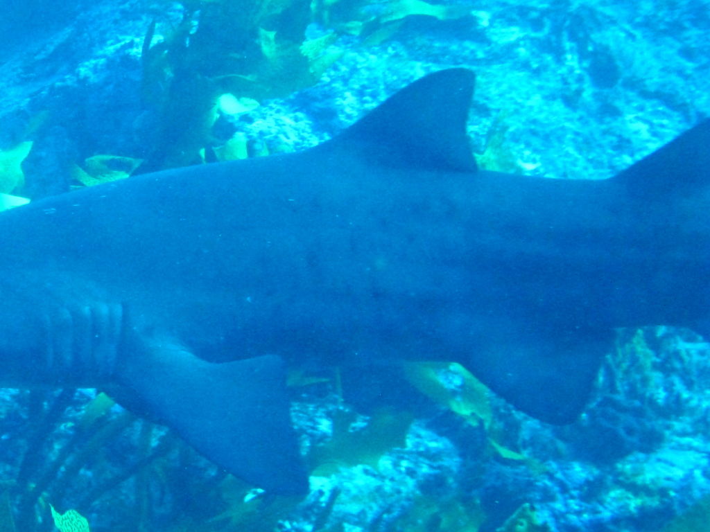 a6cd2017-5f6a-41fd-adaa-4bea8be83790