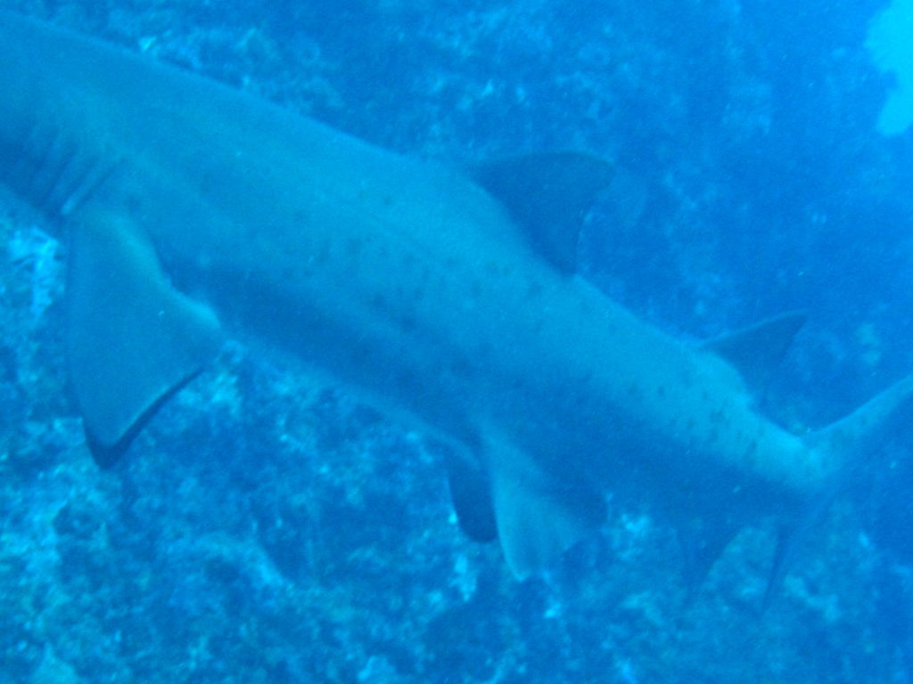 7bd34941-1e60-44bc-b66f-e4e68364941f