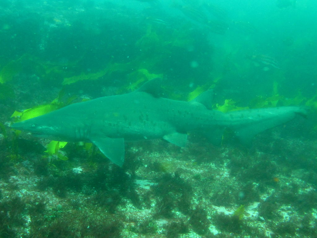 0acb6537-b97f-4a34-91c8-ed4d85b1b975