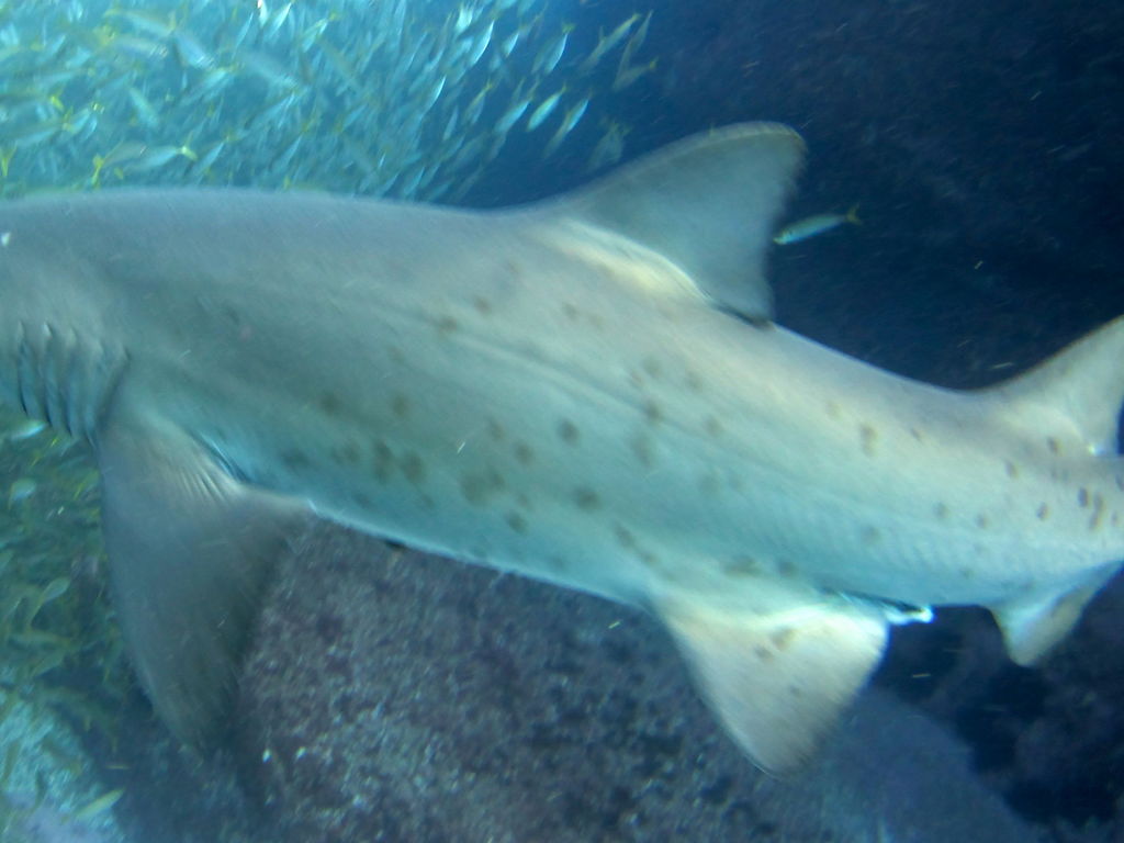 432f2bc8-f7be-4f33-90b6-8d92d11b9a87