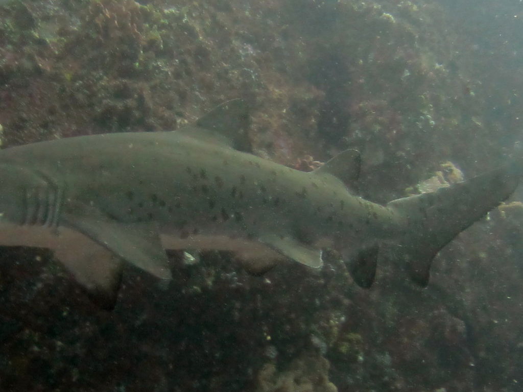 5c1e6a9b-e91a-4e53-89ce-483d580d8ec9