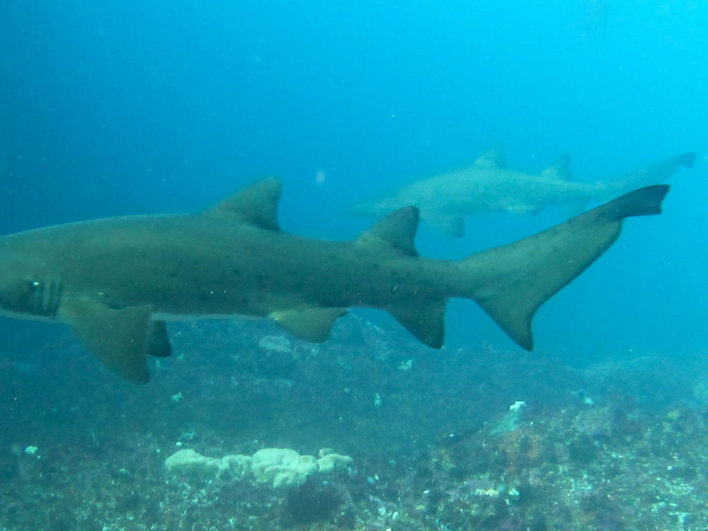 5d7abf92-3503-48bc-8aac-aff3e4784365