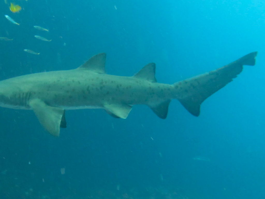 89e3583d-6200-4555-afe8-c15863ceffd3