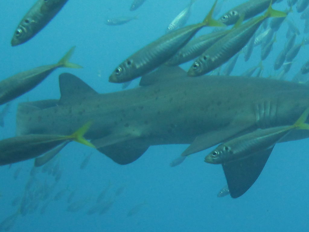 86e80215-d033-43c3-b4b6-400bc613d9c7