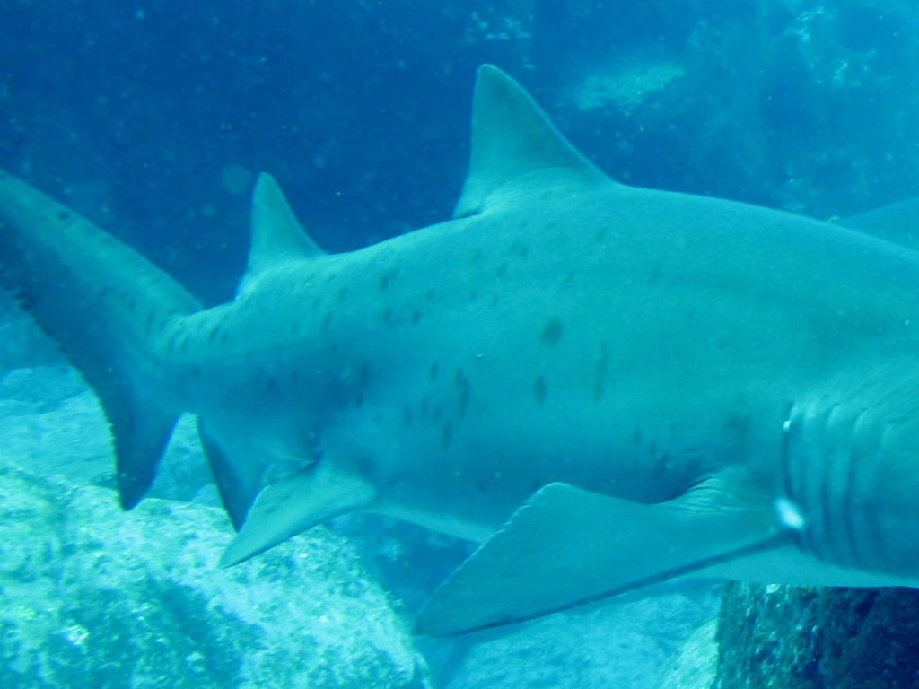 4d7189f0-08ed-4dbf-ac45-edcd46988253