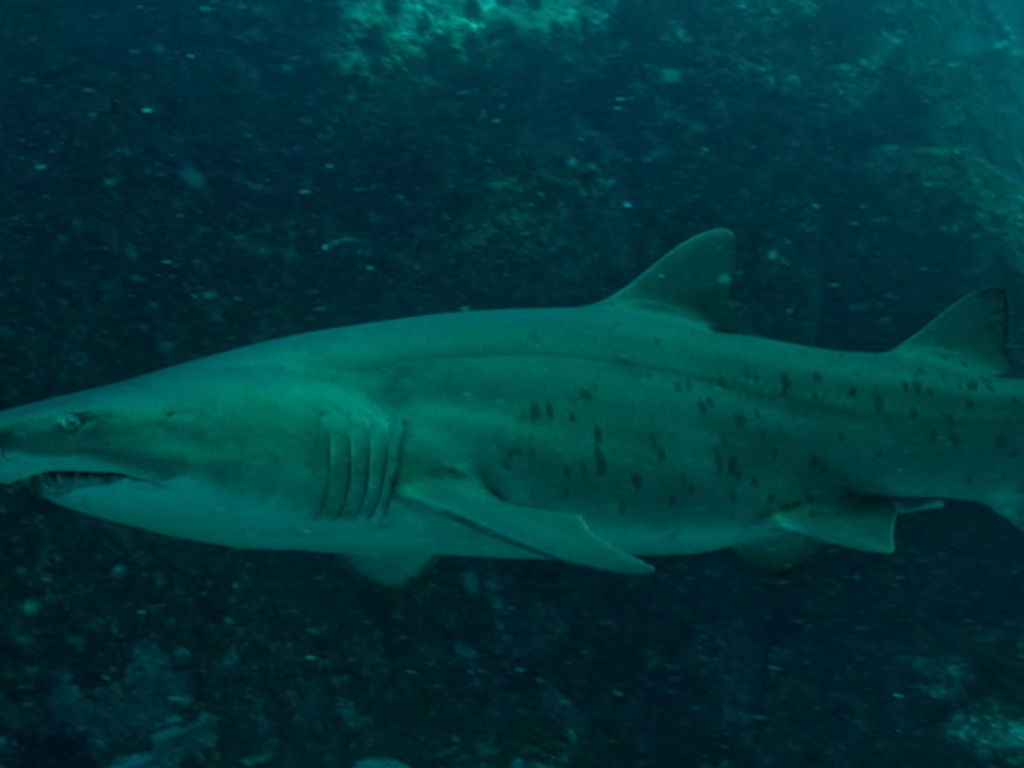 64e6b79f-7279-407e-823b-eb7a552fd381