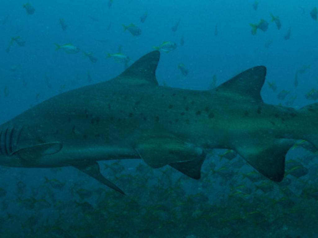 8a269af6-7cf8-4692-ac0e-f02a0fd01aac