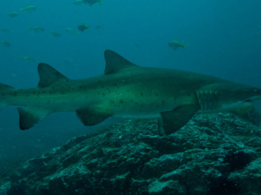 105c8d16-d3f0-4e17-9b65-5d4210ba5b91