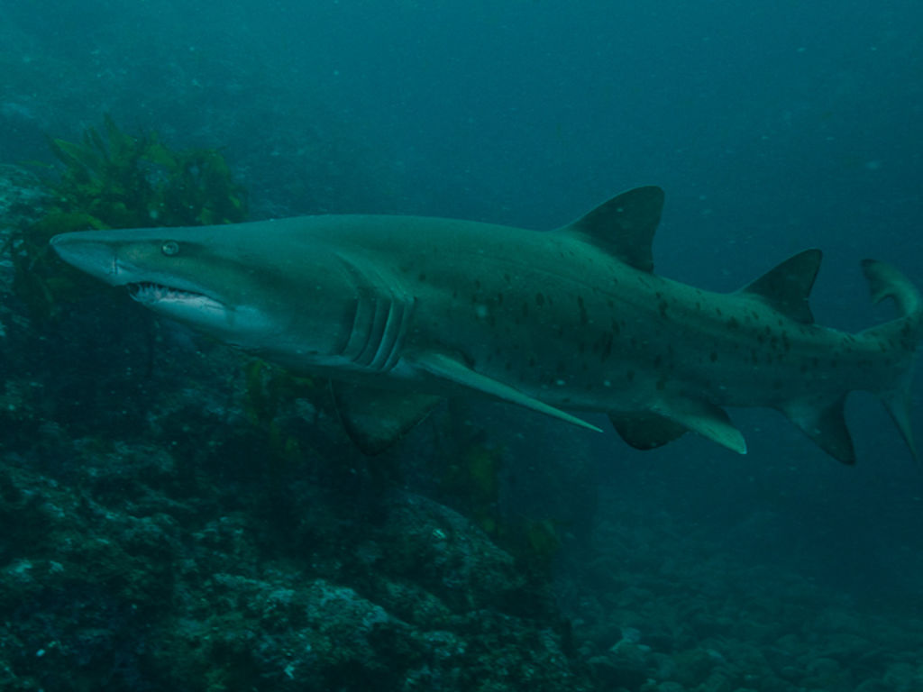 1ffe05f2-1d24-42b8-a82f-ea47bc717d66