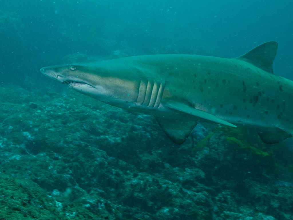 1ffe05f2-1d24-42b8-a82f-ea47bc717d66