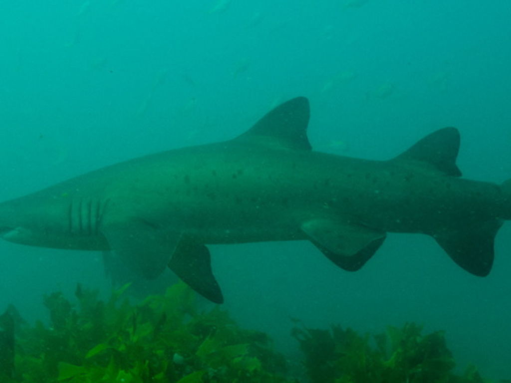 0196f642-0b05-42b8-9f13-0908598fa40a