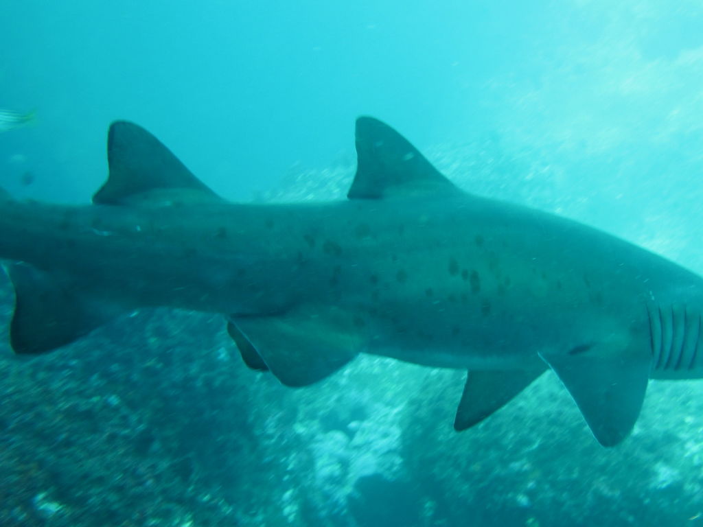 82a33298-e55c-4a5b-bd5c-6b86f99e53cd