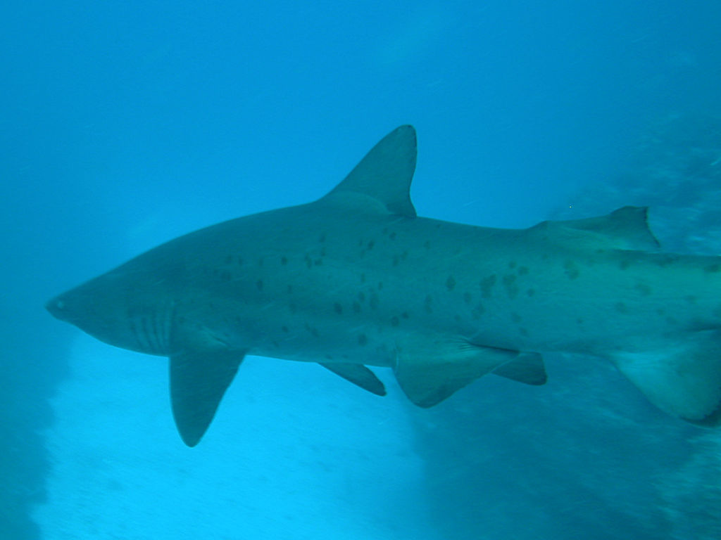 74919671-9cbe-4e28-b192-ed2ff09c73b2