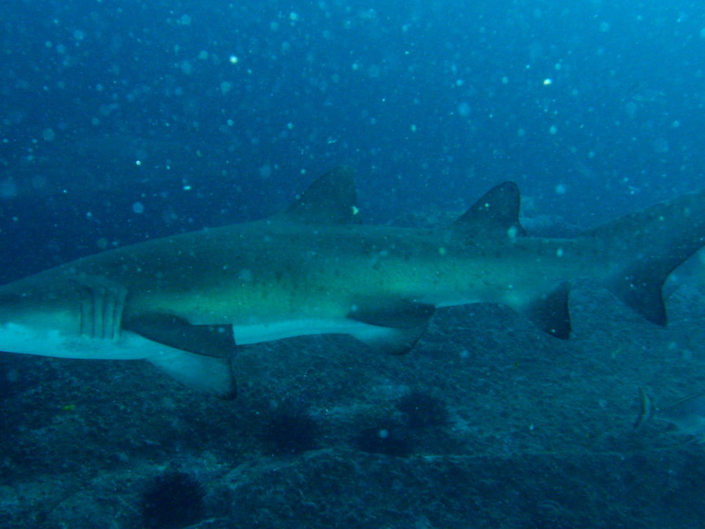 bbcd48e7-ccc6-4822-a4d8-7e45baa59055