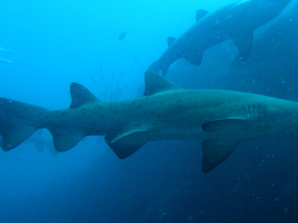 eb40f25a-314e-4b9b-a8d4-4a90fa5a56cd