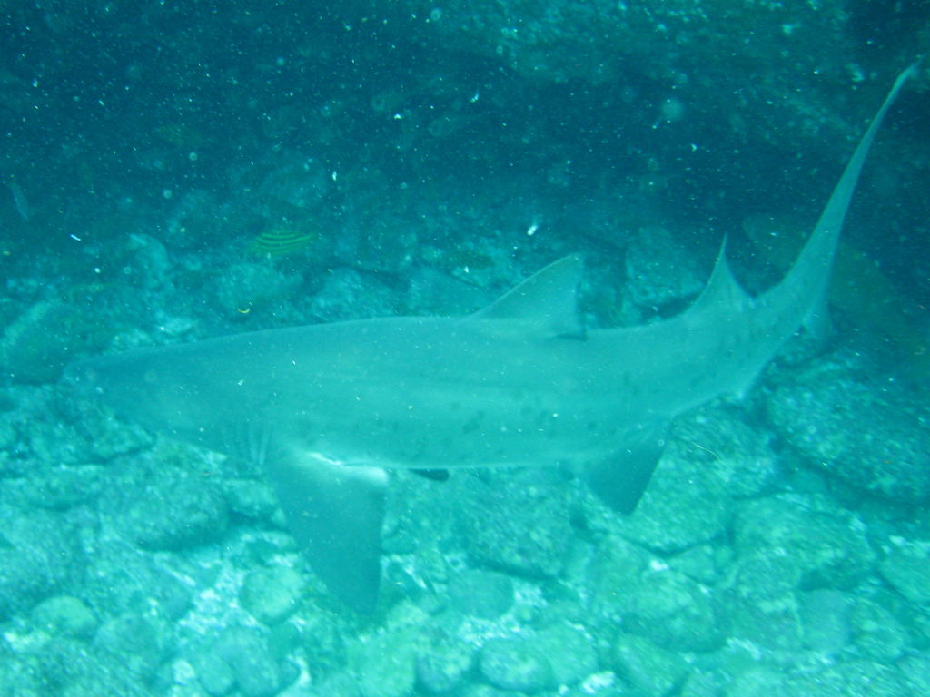 e5b741ec-4f49-4bb7-aab7-8d2be189c9e5