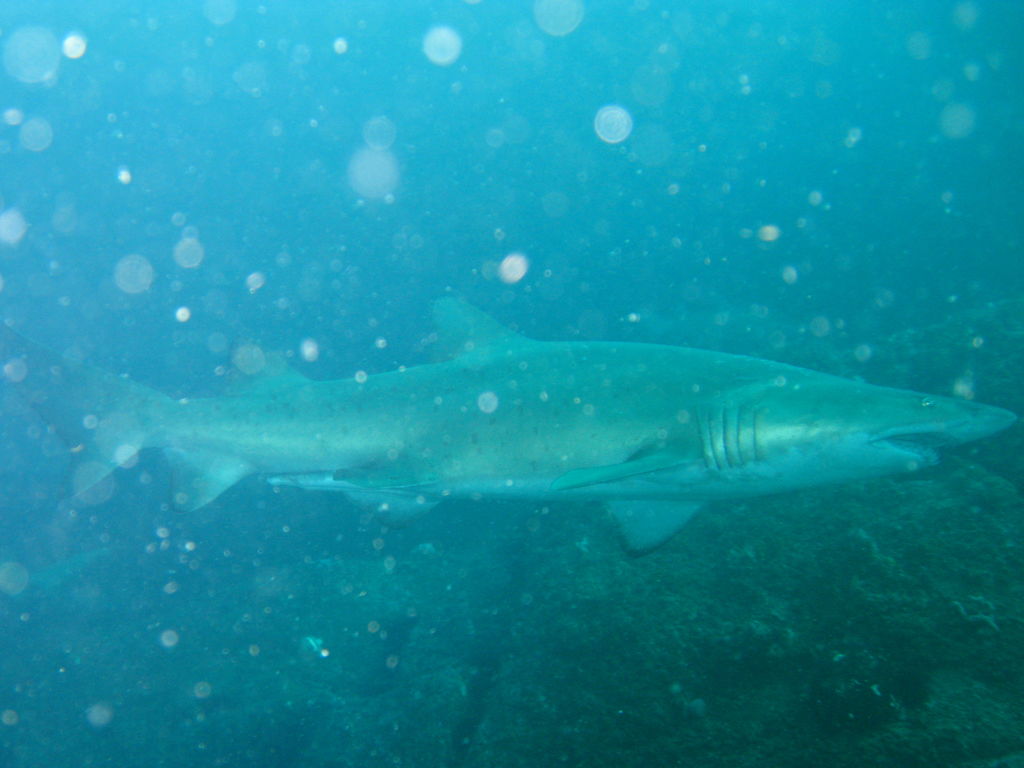 7c0b7c74-62fb-4a49-addb-fea761c6993f