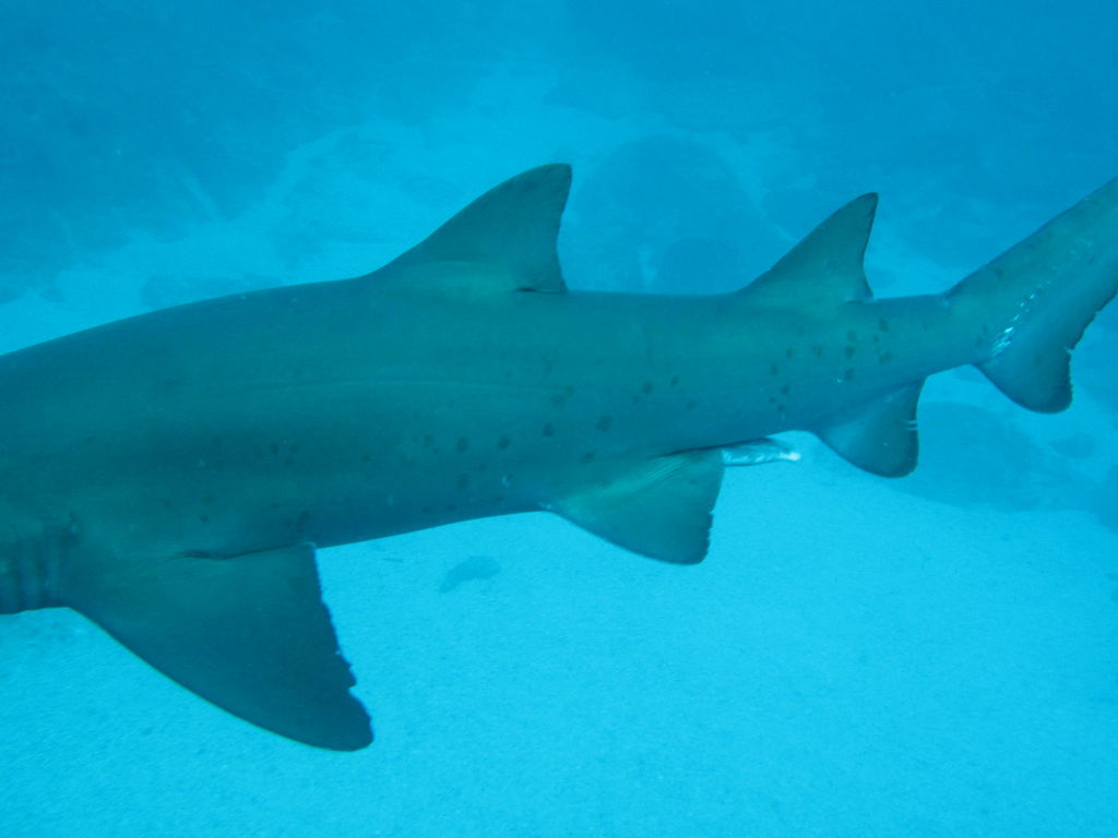 d5228917-4294-40fb-8876-531a42d4b2f5