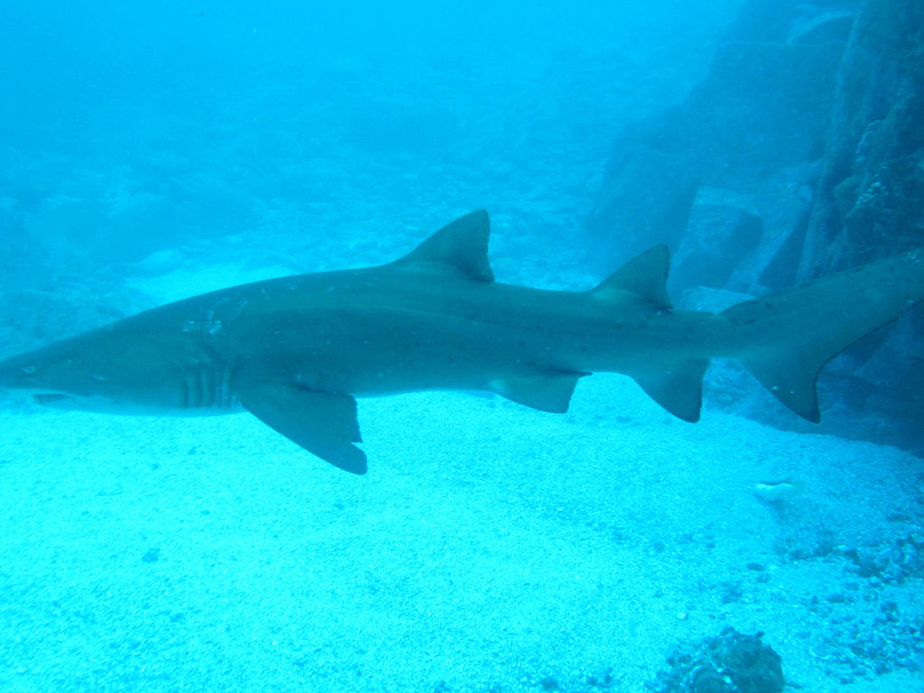 be45bb6c-89b3-4029-a6ef-e6774b972d04