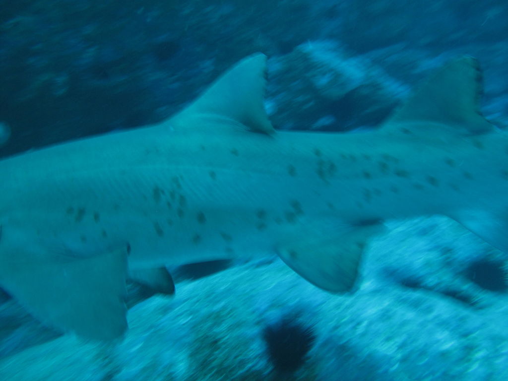 e6f0f9b9-4a69-4762-9391-9490b0b90e7a