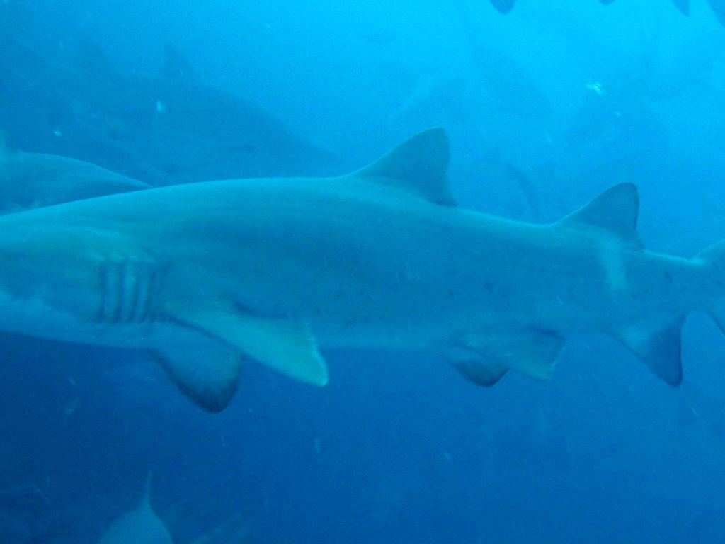 86e88a68-e6b5-4037-8d4f-0b468e334a96