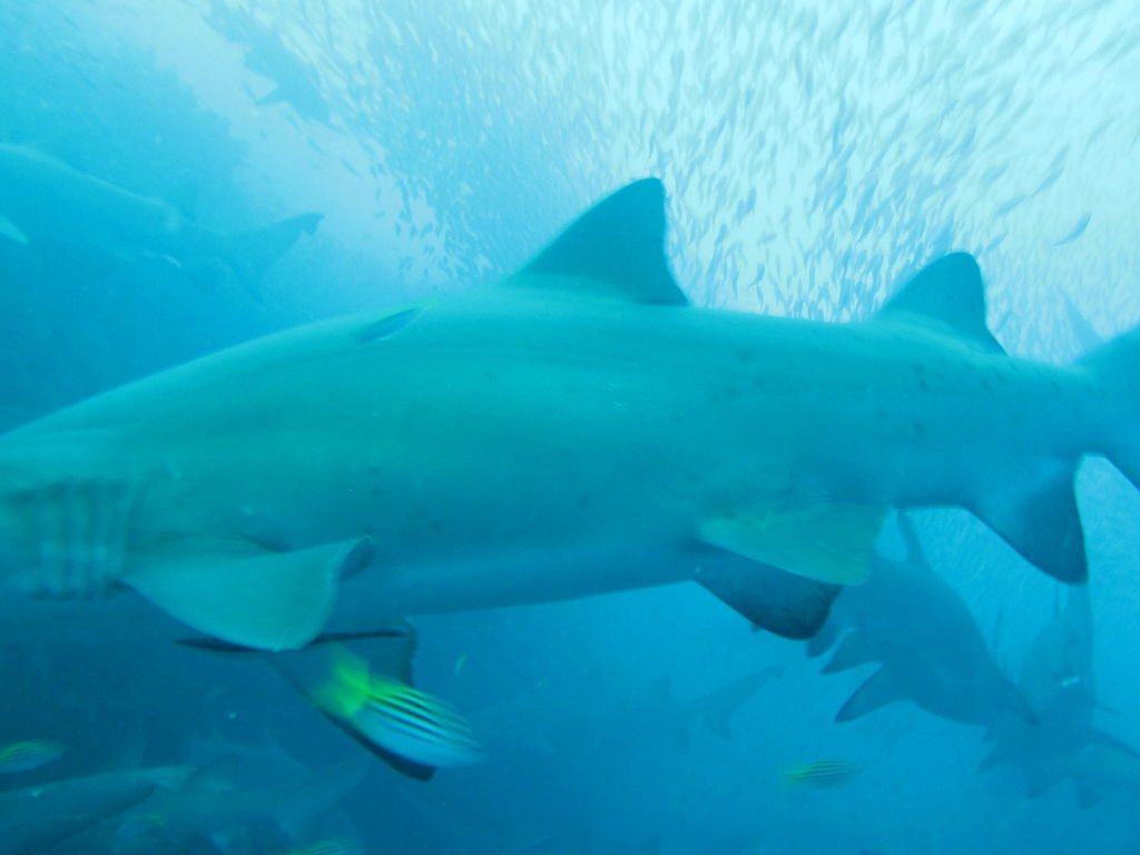 f92ea1f6-615a-43f7-878a-edbcd8fba6f5