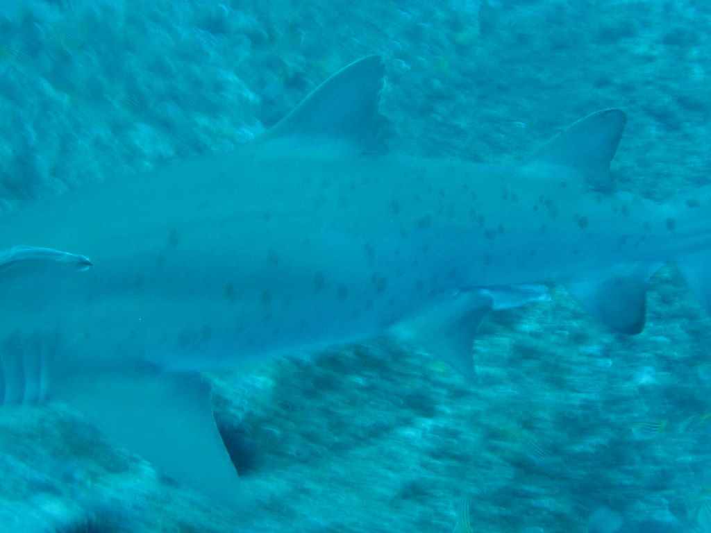 b1669ae8-b876-4939-9864-d9202801e8ed