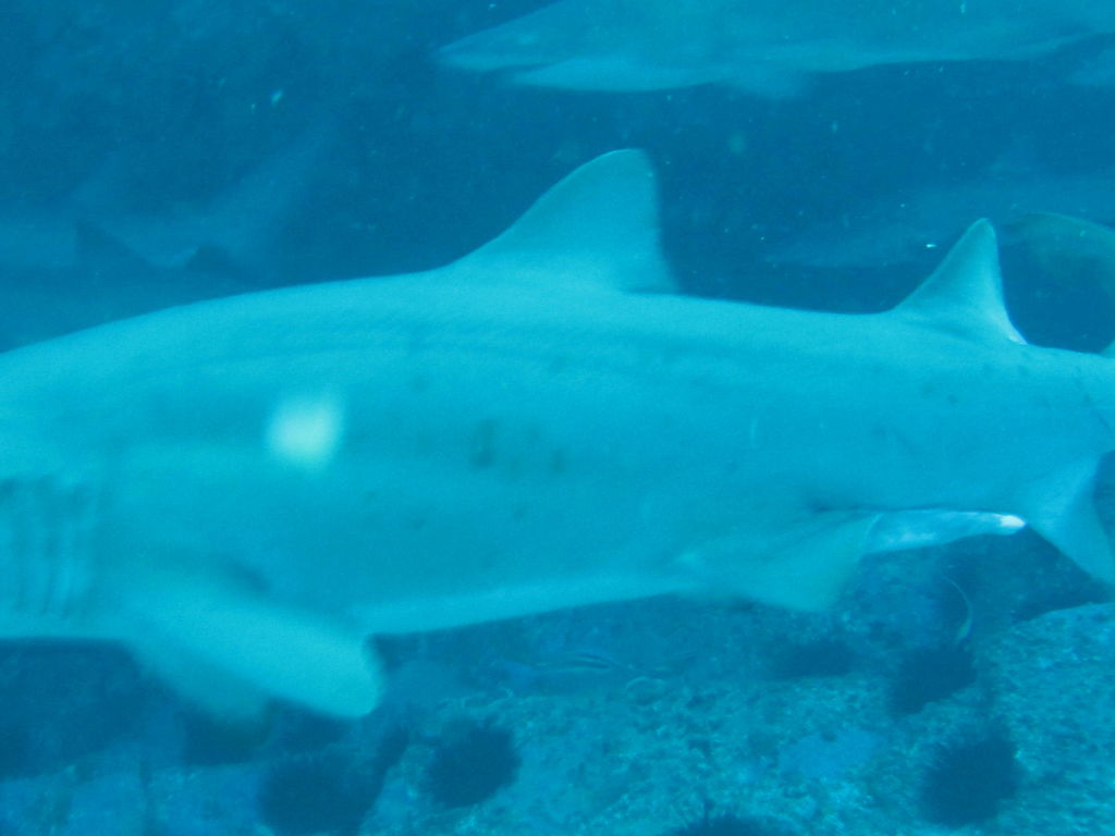 5ae4416e-1b1c-41a4-a353-b2ef310dff59