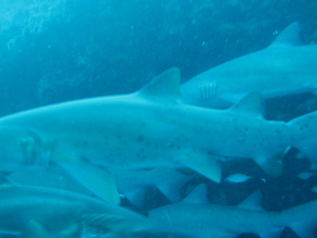 2b791a60-009d-4338-a303-f40e18839490