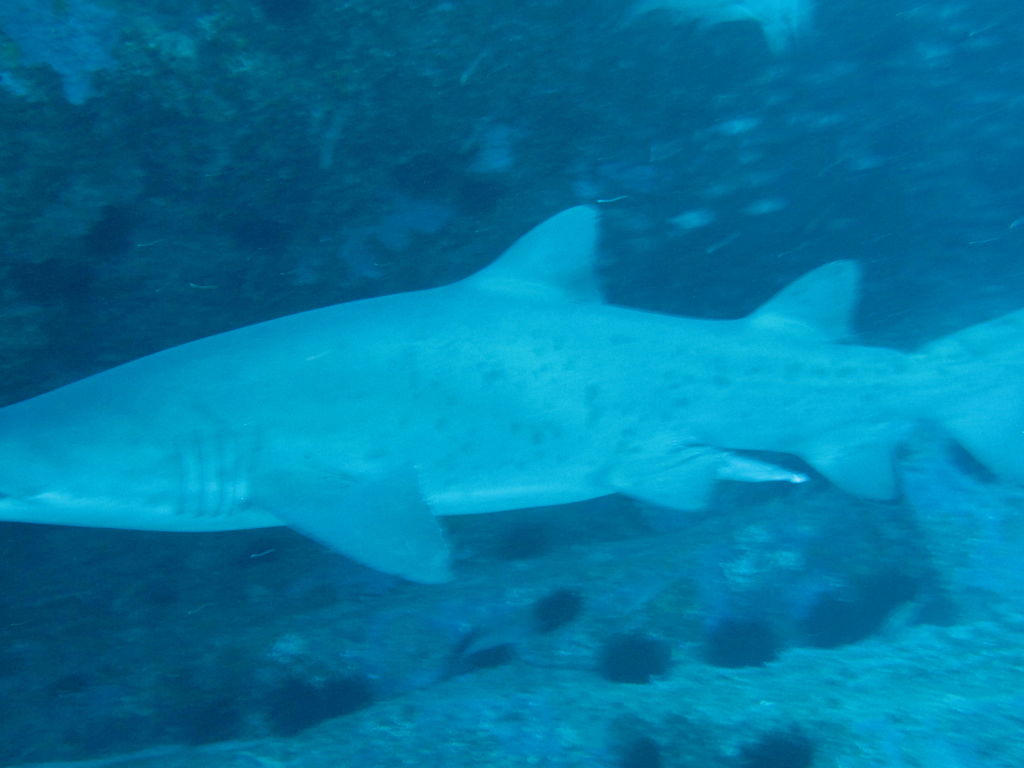 f166419e-3c8b-4d87-a503-5f2085f6c79a