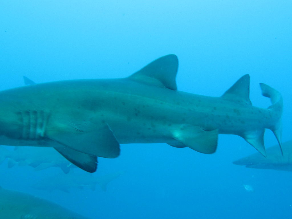 8d005467-c936-4d8d-8aa2-6768ff04a699