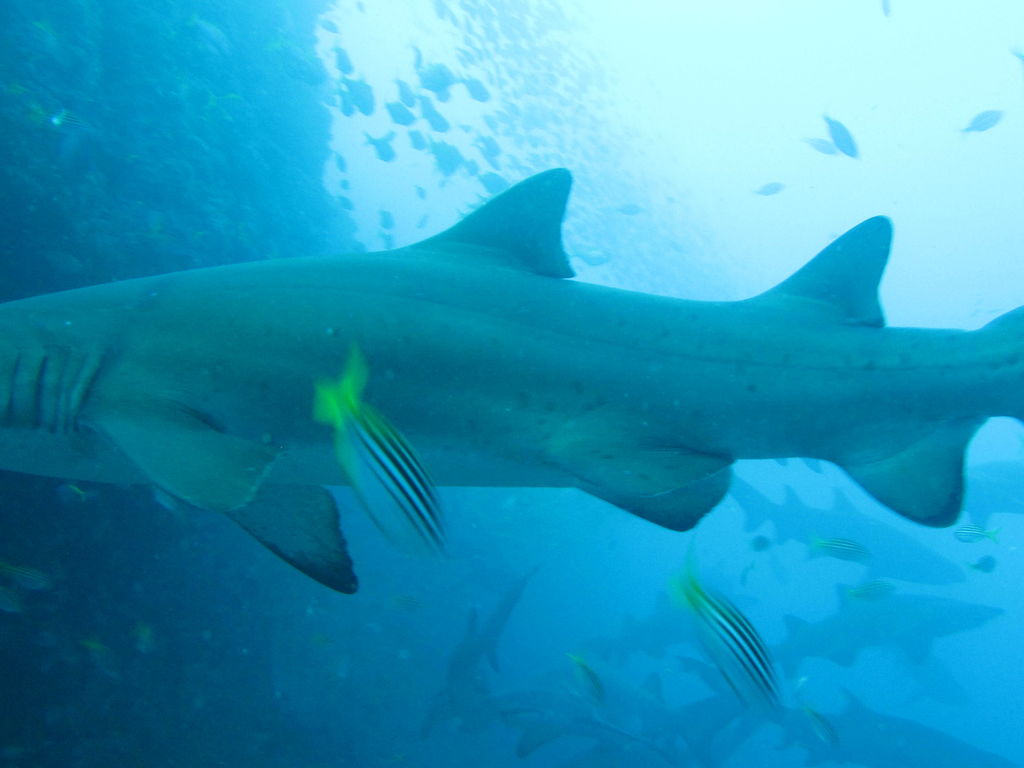 005613c6-05f6-4d8a-a04c-f9c2aa5d32a4