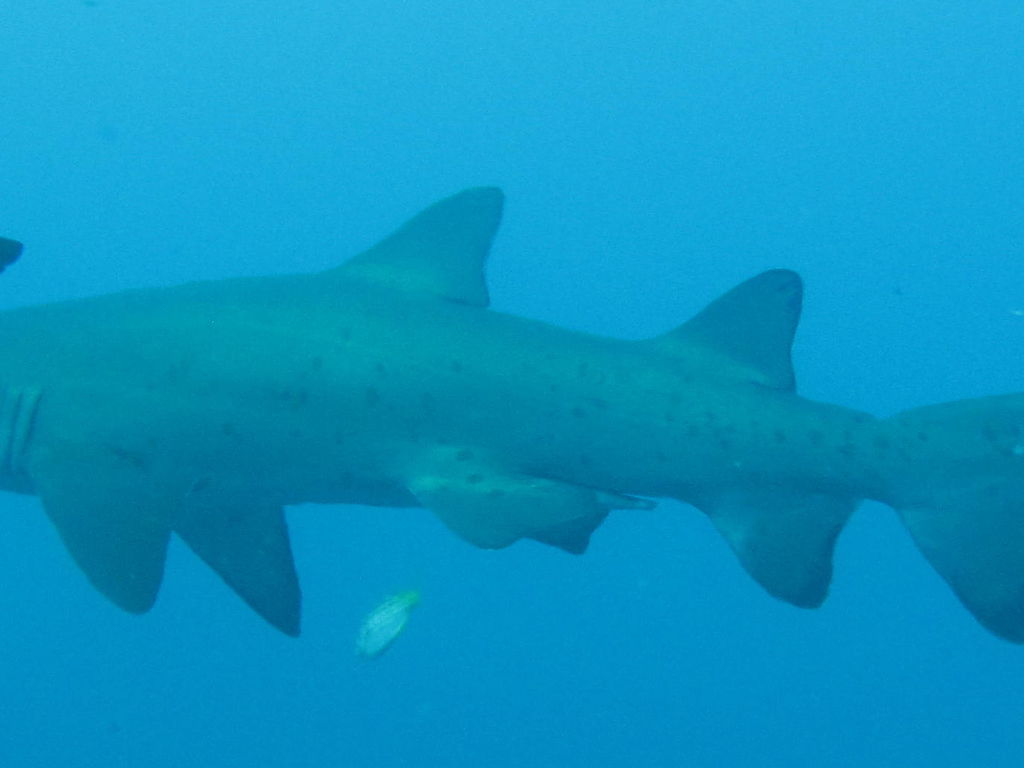 3254b366-3b5a-4f2f-b43d-b80943084523