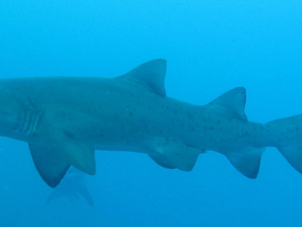 46be7d95-029e-4a25-b96d-ed883cd600f8