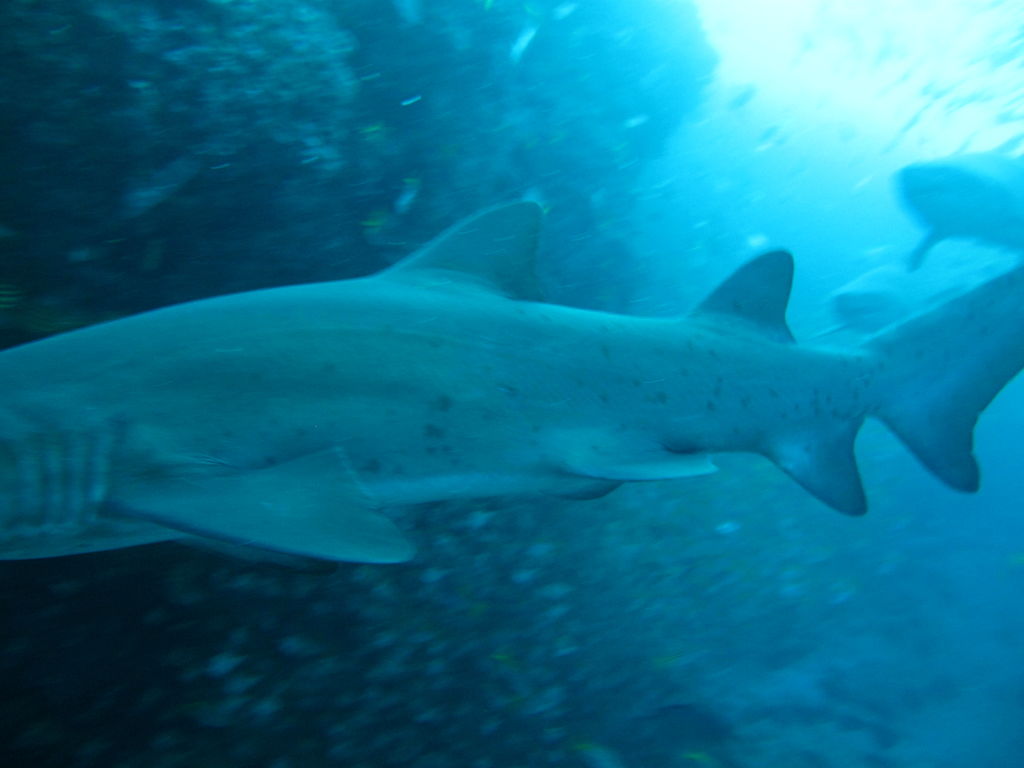 53a44db0-ed9a-4d53-87cd-aa9a9ab61903