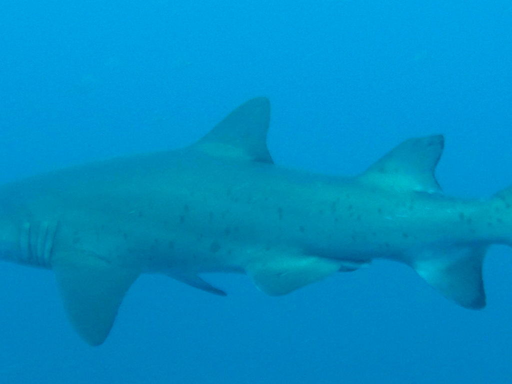 6e3121c8-ee2c-4503-8234-6516d6a662f5