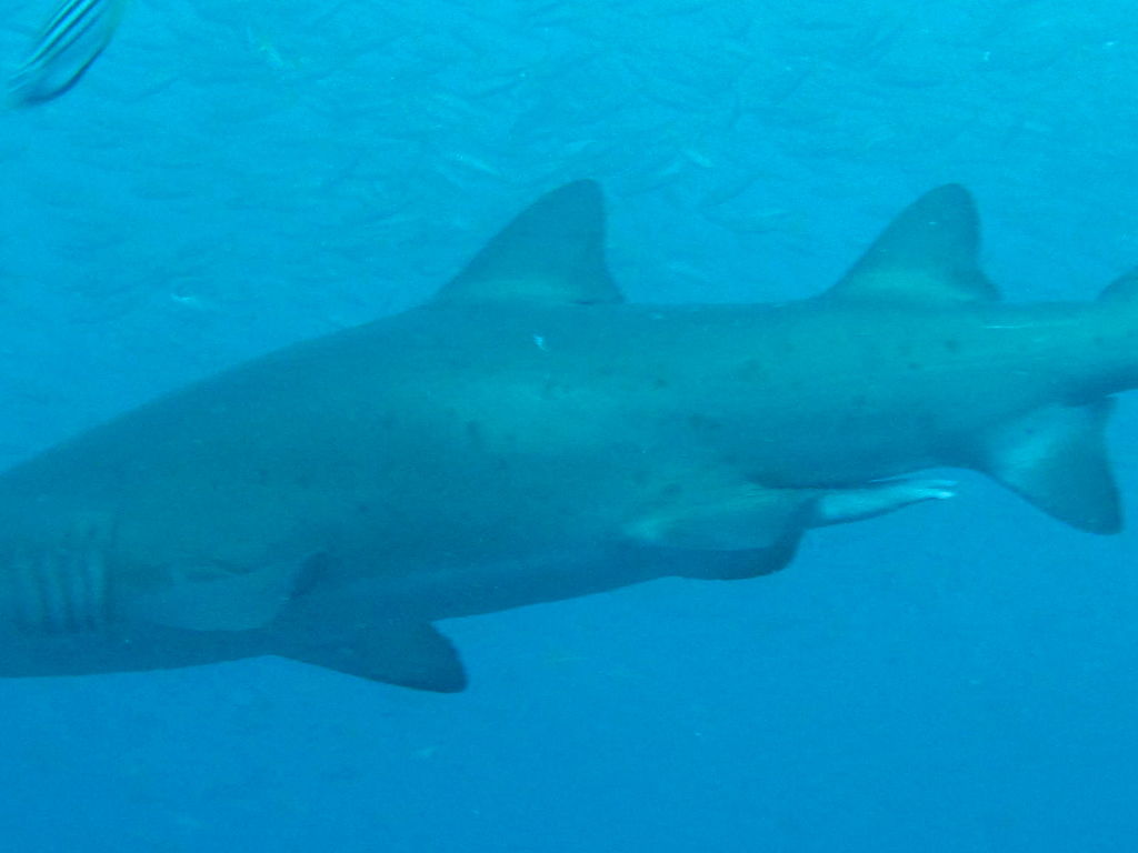 1f64e4ee-99ba-486b-b0bc-8bf28f3e40cb