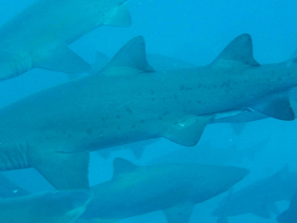 eefc3e35-1ef3-40ac-a08e-96a0eb7d4e7c