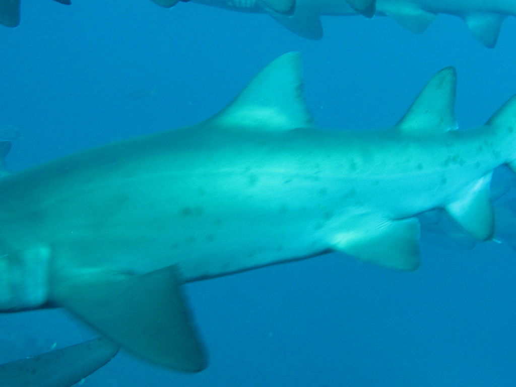 e7bee970-5cab-48a2-a636-b73d60a64505