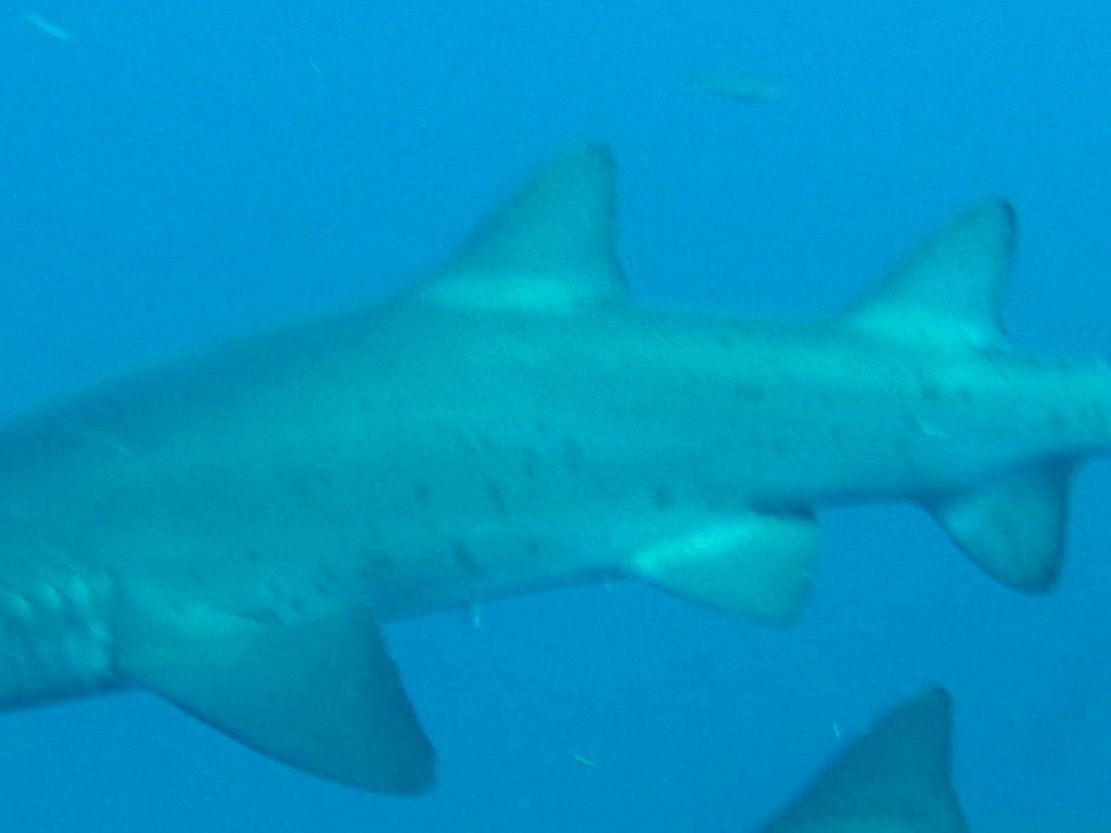 551b26ca-65ec-4591-8d30-de03d23c7f7d