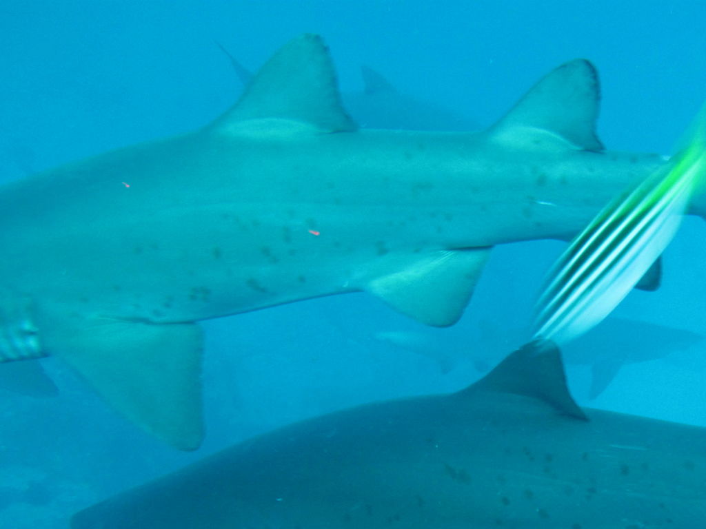 551b26ca-65ec-4591-8d30-de03d23c7f7d