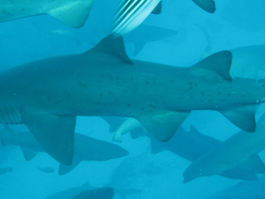 48a1650a-fa1c-487b-adda-65ff56c5762f