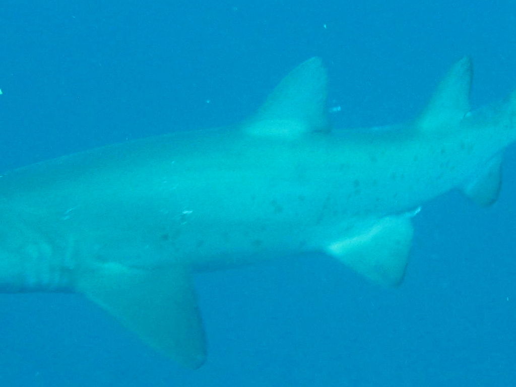 65e21d72-5738-48bf-9e5b-f39780b1f2e4