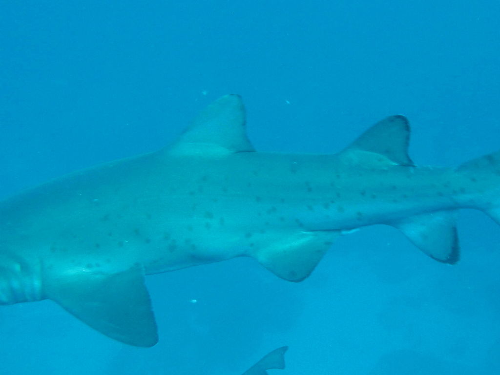 0d659809-294f-4b33-83f1-da3e065b76cd