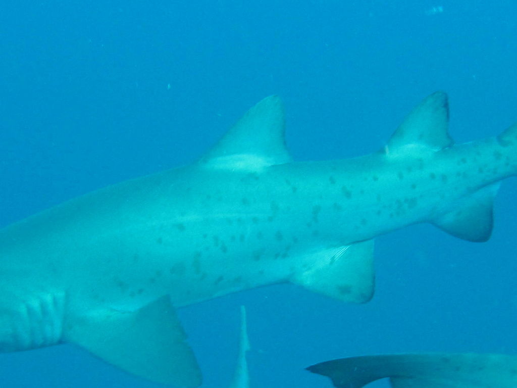 2858a9cb-9a68-4362-a47a-1dbe51ff1fb8